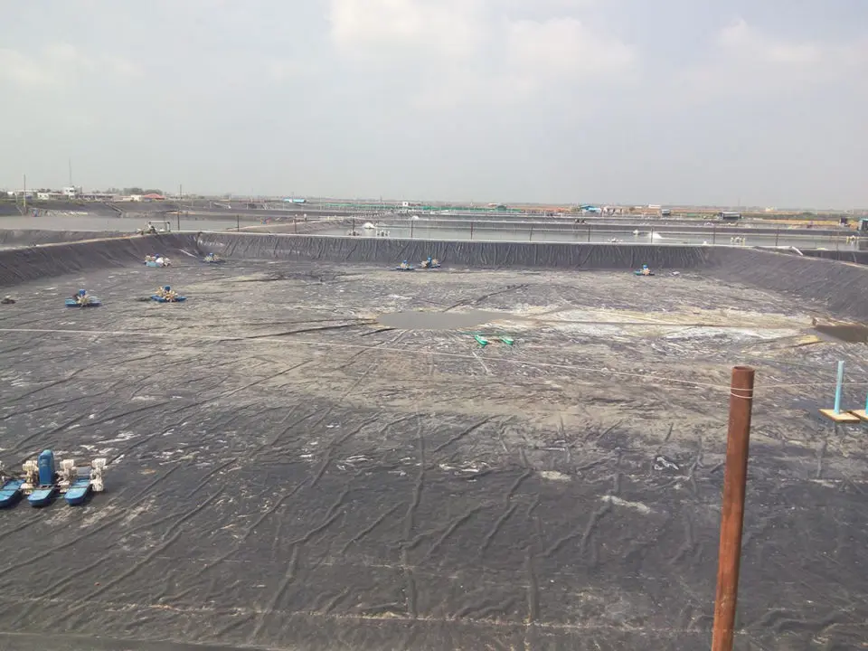 LINER FOR AQUACULTURE POND
