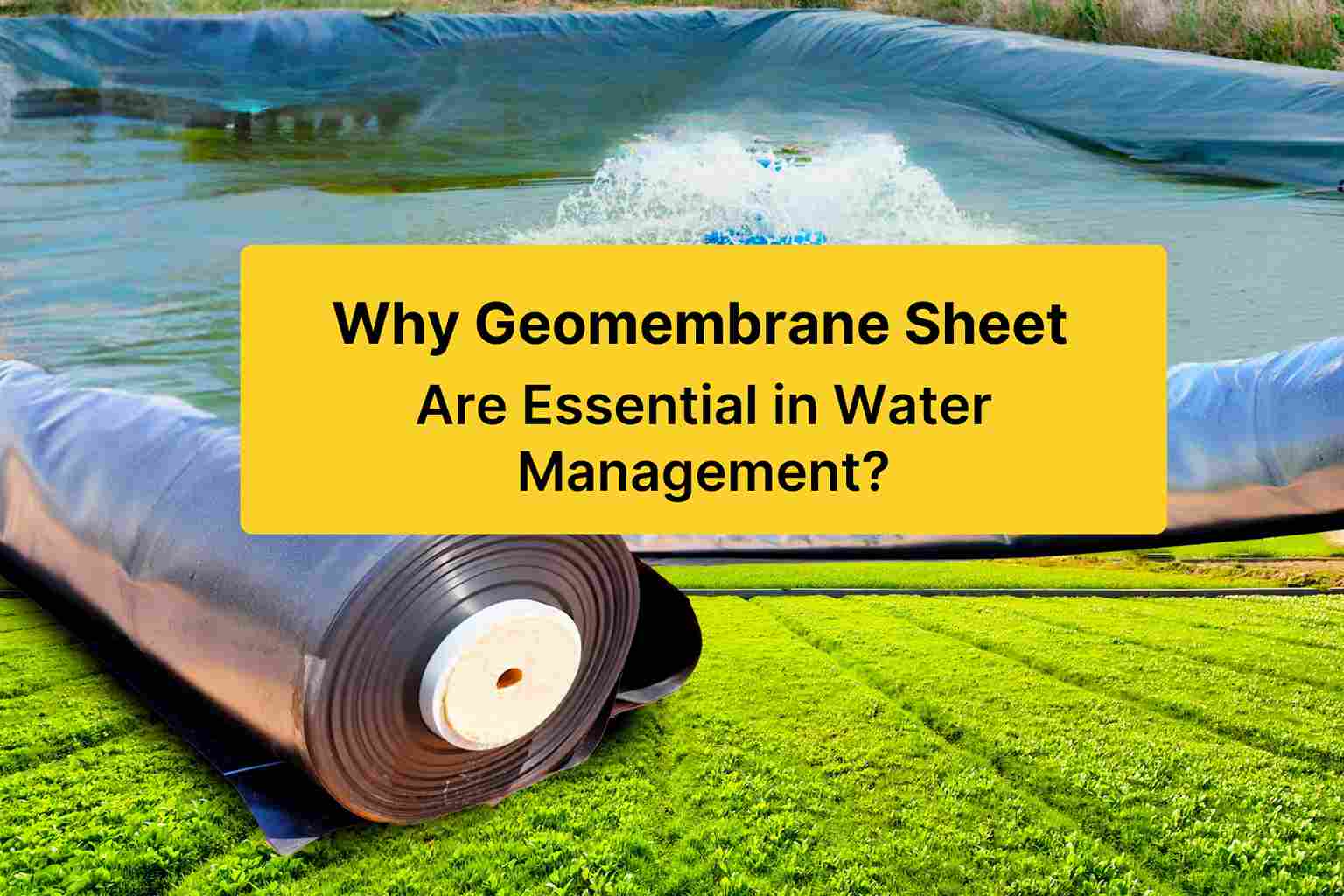 Why Geomembrane Sheet Are Essential in Water Management?